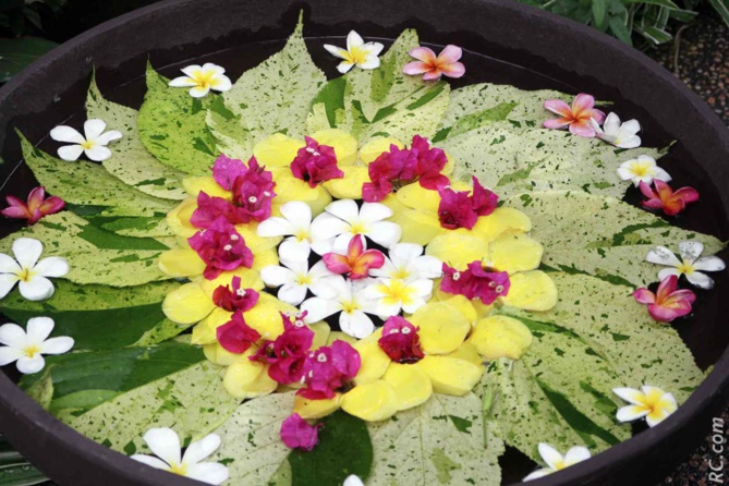 Des fleurs lorsque vous poussez les portes du Spa Des fleurs lorsque vous poussez les portes du Spa