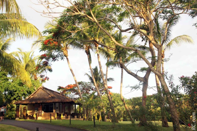 Cocotiers et flamboyants se partagent cet espace où il fait bon flâner. Cocotiers et flamboyants se partagent cet espace où il fait bon flâner.