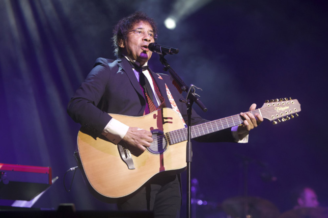 Alain Souchon et Laurent Voulzy au Stade de l'Est