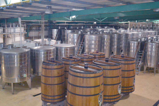 Dans une usine de fabrication de vin
