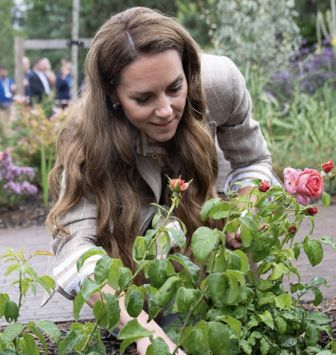 Capture Instagram Capture Instagram