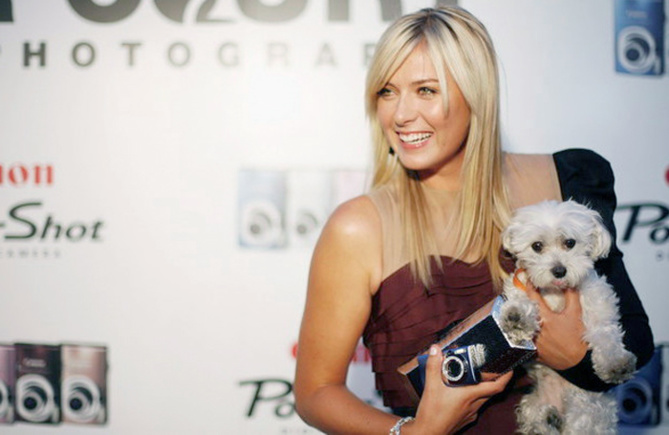 Maria Sharapova contrôlée positive à un test antidopage Maria Sharapova contrôlée positive à un test antidopage