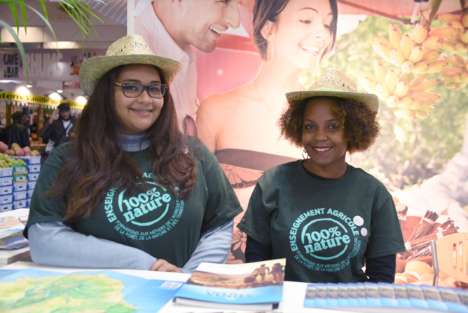 Au comptoir de l’IRT, des demoiselles vertes! Au comptoir de l’IRT, des demoiselles vertes!