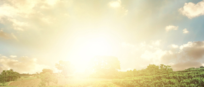 Horoscope de la semaine du 15 au 21 décembre Horoscope de la semaine du 15 au 21 décembre