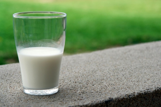 Le lait de vache : cet aliment que de plus en plus d’adultes remettent en question