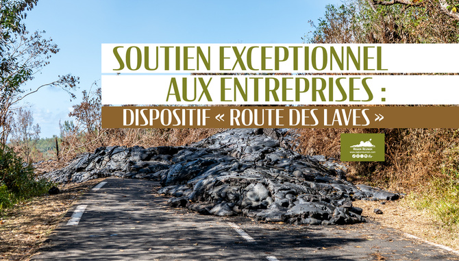 Soutien exceptionnel aux entreprises : dispositif "Route des laves"