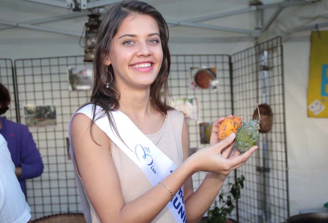 Master Marmite 2016<br>La dernière étape à Saint-Pierre Master Marmite 2016<br>La dernière étape à Saint-Pierre