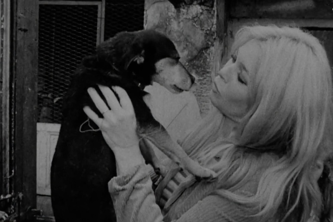 Brigitte Bardot : la vente de ses objets personnels provoque la colère de son dernier mari