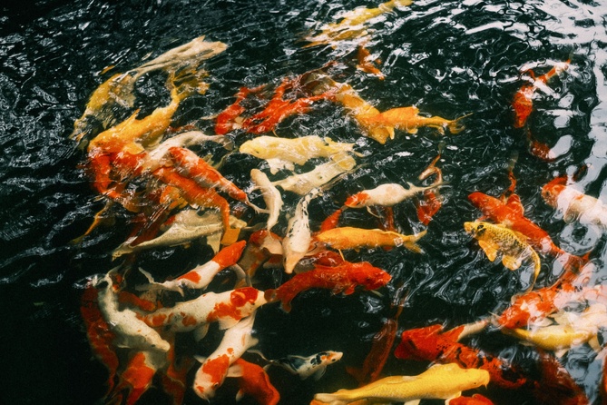 Photo de Quý Nguyễn Photo de Quý Nguyễn