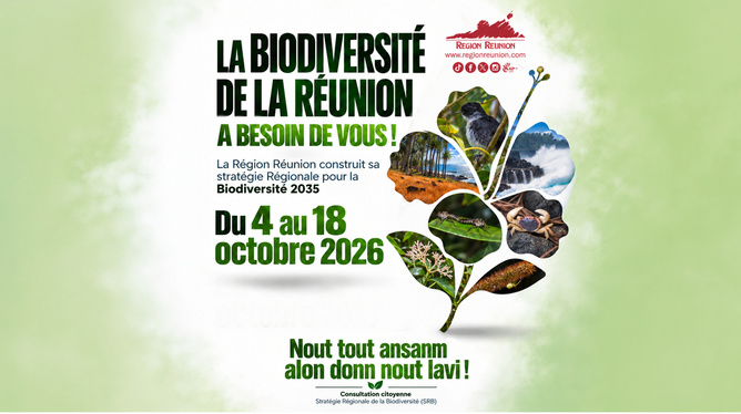 Stratégie Régionale pour la Biodiversité (SRB) à l’horizon 2035 Stratégie Régionale pour la Biodiversité (SRB) à l’horizon 2035
