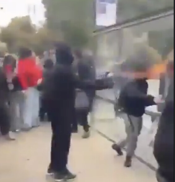 Capture d'écran video sur X - @CerfiaFR