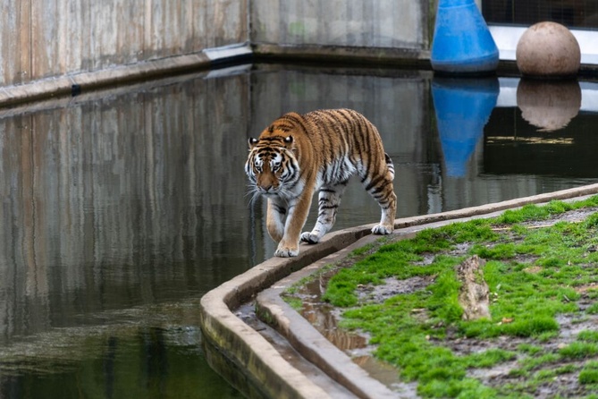 Photo by Quang Vuong