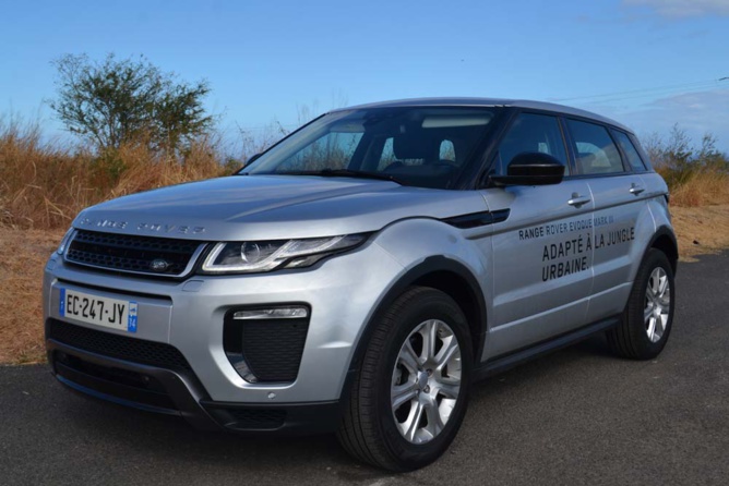 Une ligne originale qui plaît! Une ligne originale qui plaît!