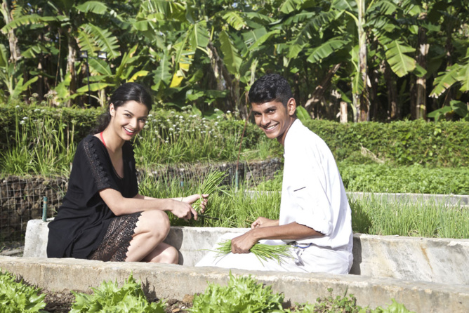 Dans le jardin potager de l'hôtel où on cultive bio Dans le jardin potager de l'hôtel où on cultive bio
