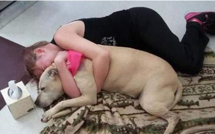 Avant de faire euthanasier son chien, elle passe une journée exceptionnelle avec lui