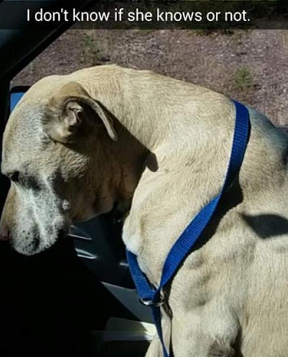 Je ne sais si elle réalise ou pas