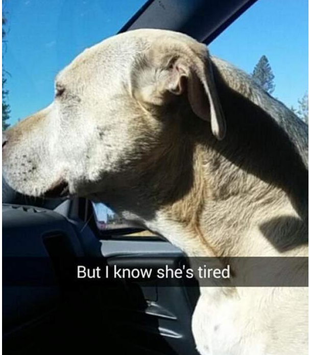 Mais je sais qu'elle est fatiguée