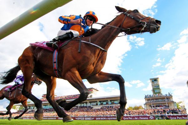 Qatar Prix de l’Arc de Triomphe: l’Irlandaise Found crée la surprise et remporte l’Arc!