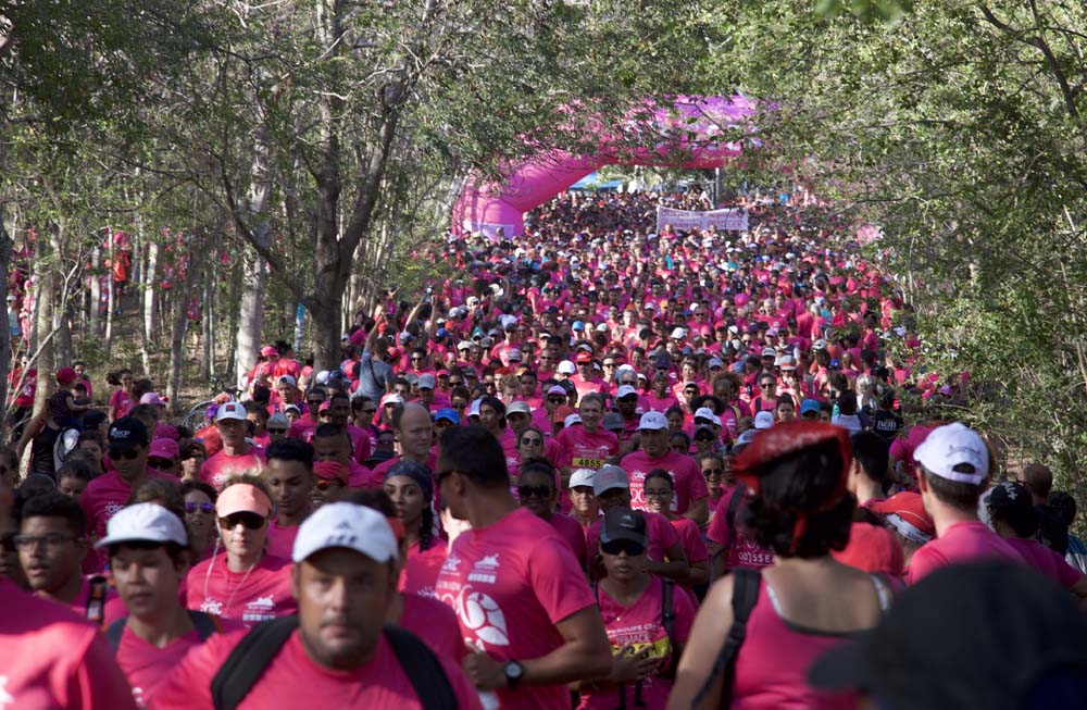 Odyssea, la marée rose!