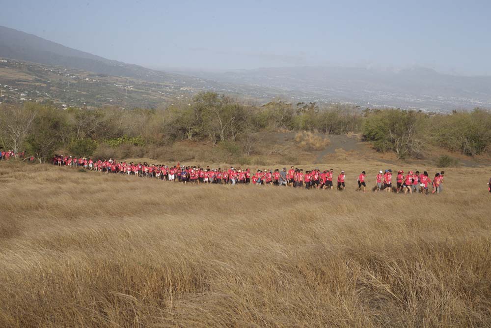 Odyssea, la marée rose!