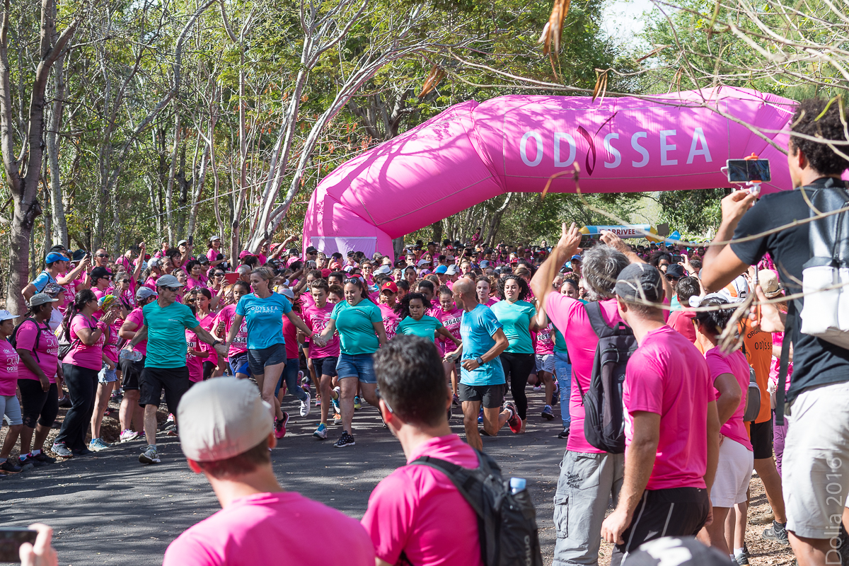 Odysséa: suite des photos