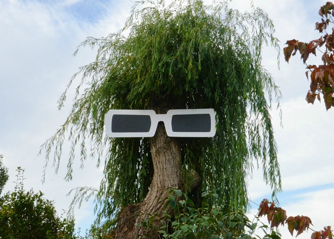 Un arbre à l’effigie de Polnareff