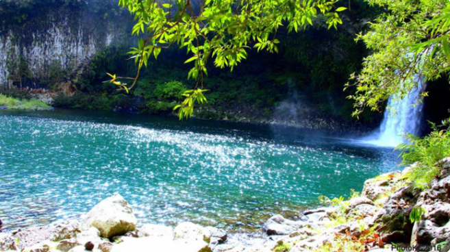La tradition du pique-nique réunionnais en danger ?