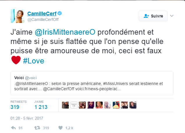 Capture d'écran Twitter Camille Cerf