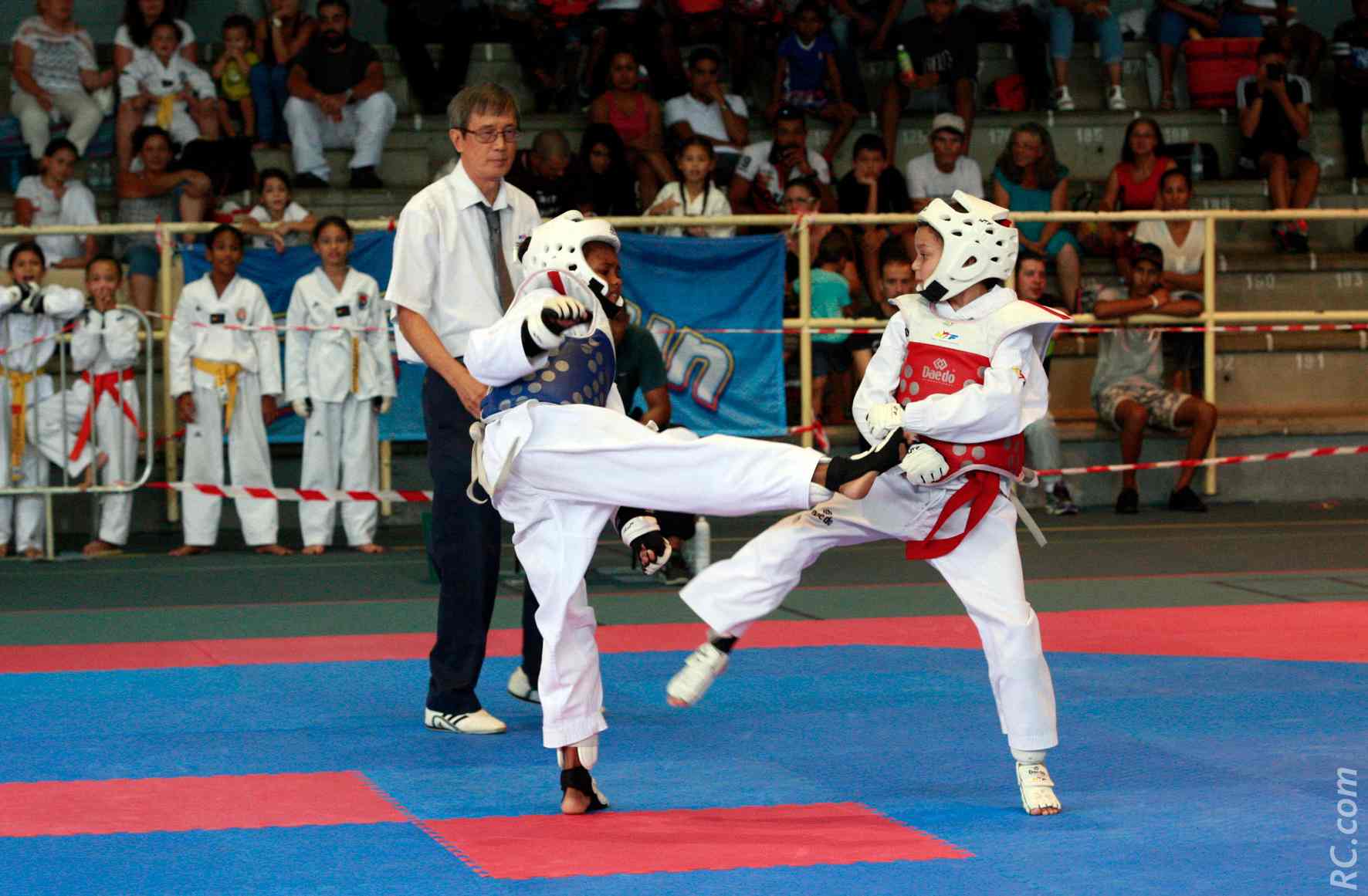 Taekwondo : Superbe ambiance à la Coupe Féminine 2017