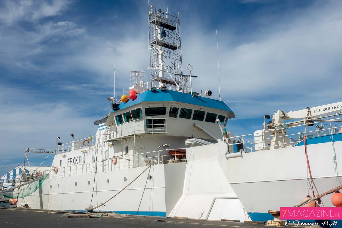Poissonnerie fine au Port: produits de la mer en direct!