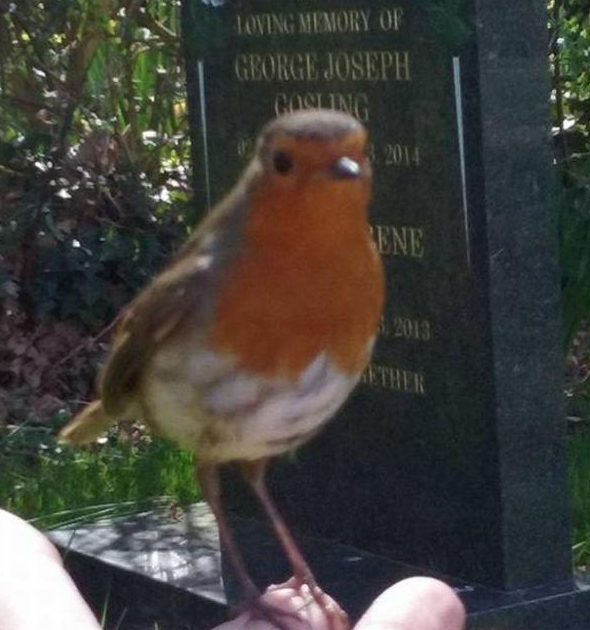 Une preuve de la réincarnation de son petit garçon?