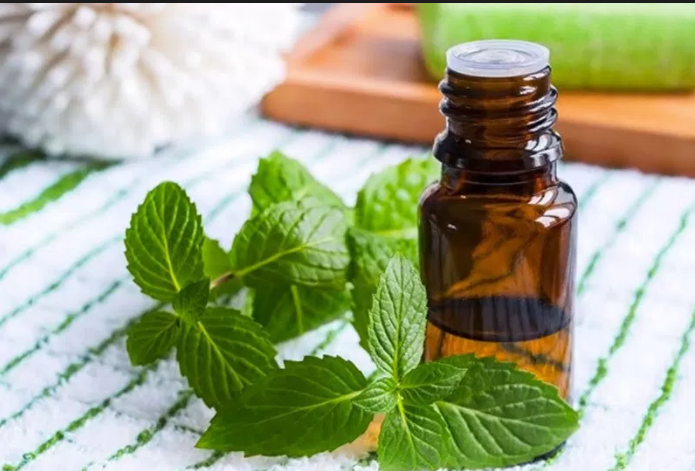 Fourmis dans la kaz : ca mi vé pa !