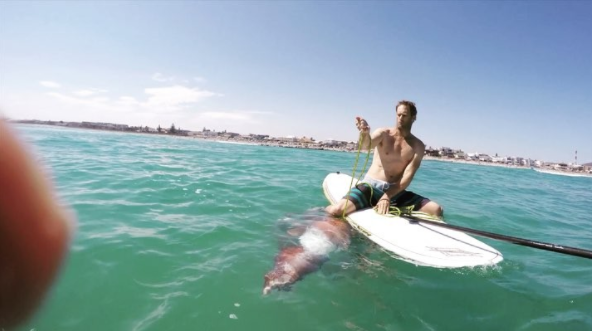 [VIDEO] Pris au piège par un calamar géant