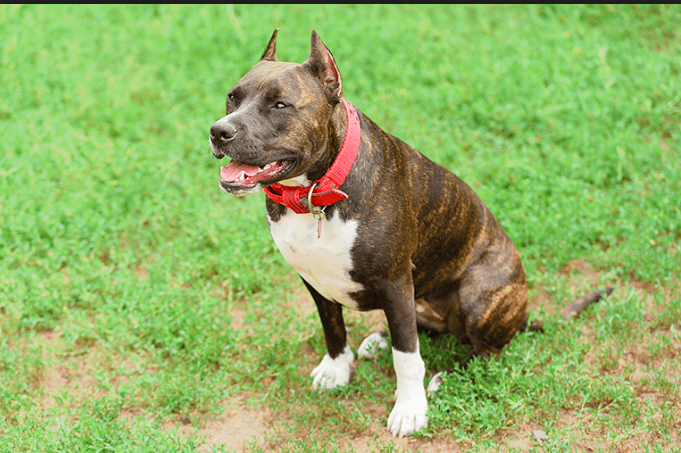 Photo d'illustration