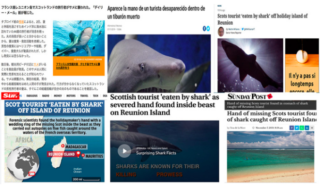 Du Japon au Brésil, la presse internationale relaye la découverte macabre dans l’estomac d’un requin-tigre