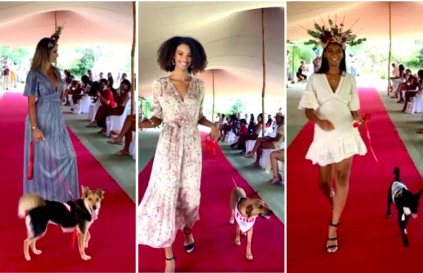 Captures d'écran vidéo Facebook Fashion Dogs 2021