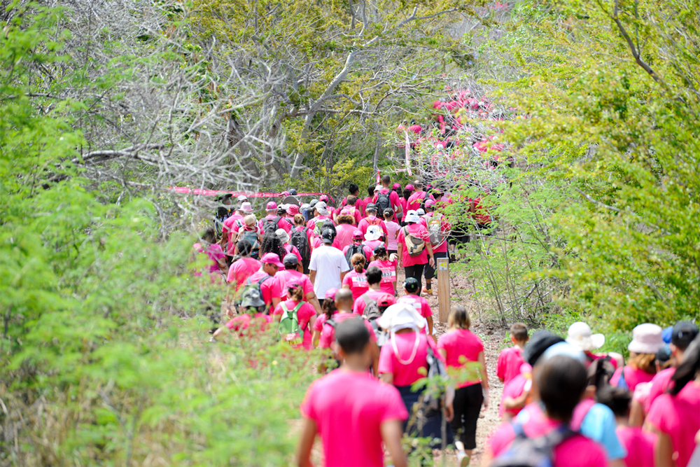  Odysséa 2013: plus de 10 000 participants et Miss Réunion...