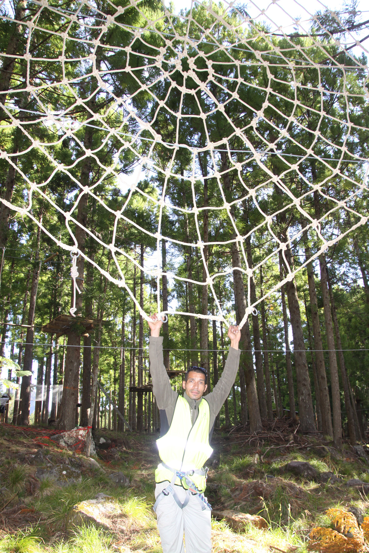Accrobranche, une activité "en l'air"!