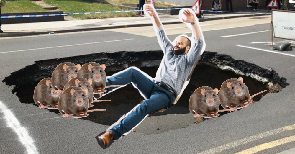 Rat Rampant Il s’est retrouvé coincé dans un trou rempli de rats, après avoir fait ...