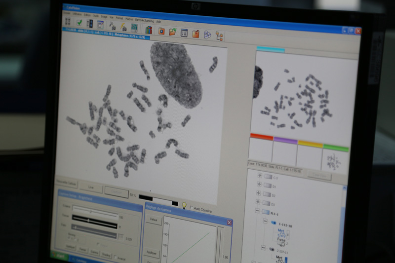 Un don de 5000 Euros pour la recherche médicale