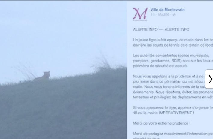 Capture d'écran Facebook