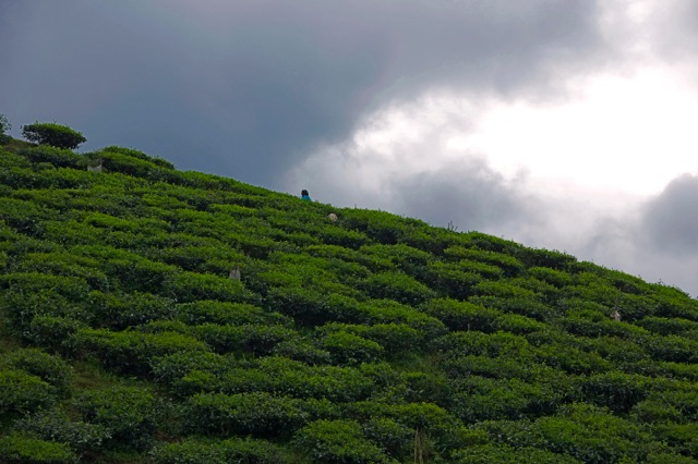 Zone Australe sur Antenne Réunion. <br>Inde du Sud: Région du Tamil Nadu