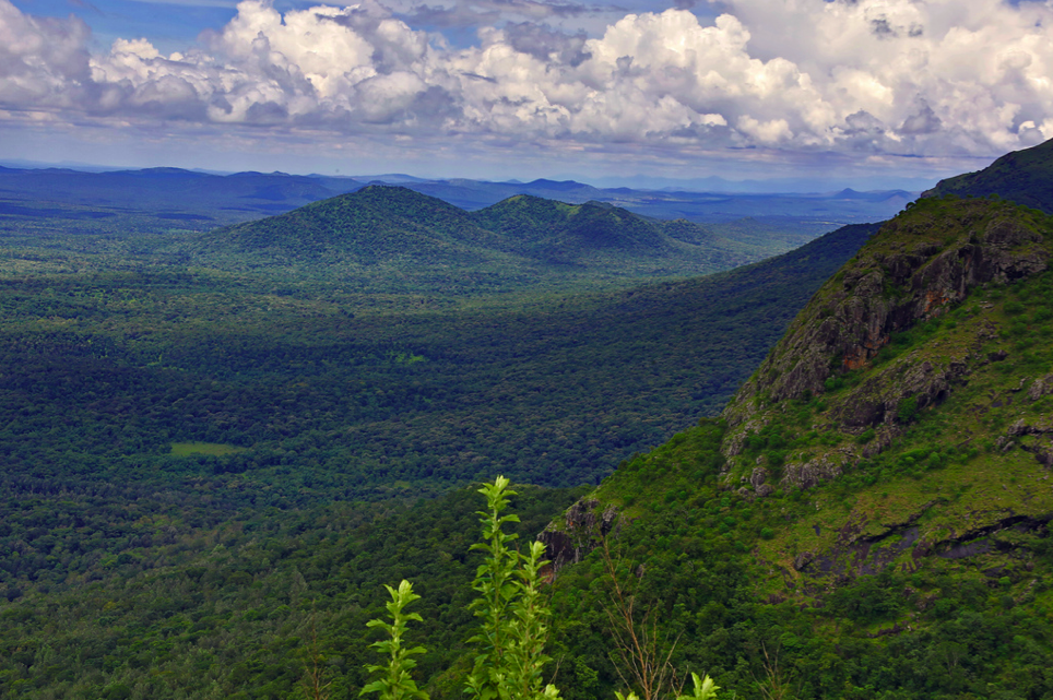 Zone Australe sur Antenne Réunion. <br>Inde du Sud: Région du Tamil Nadu