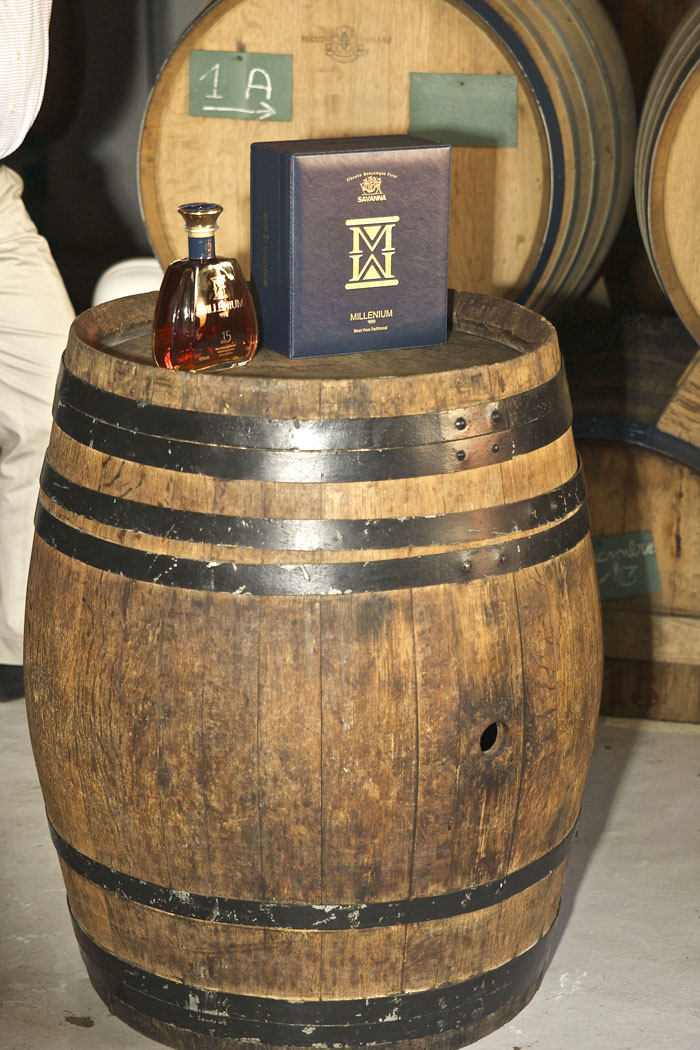 Savanna Millénium 1999 <br>La nouvelle star