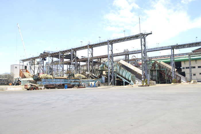 Savanna Millénium 1999 <br>La nouvelle star