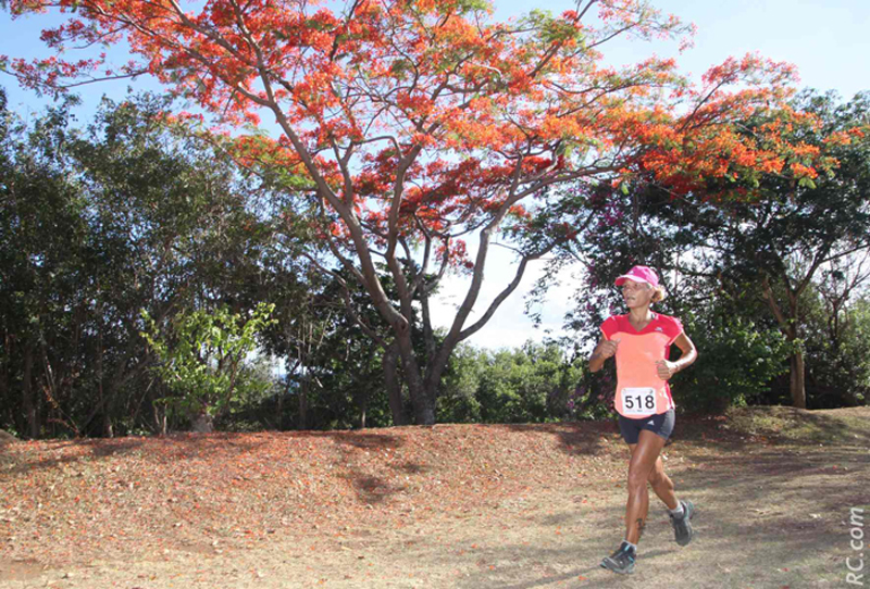 Courir sous les flamboyants du côté de Bois Madame...