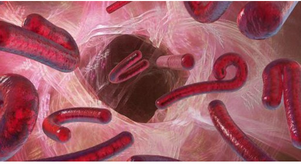 Les prédictions 2015 pour La Réunion de Gérard Bonnet