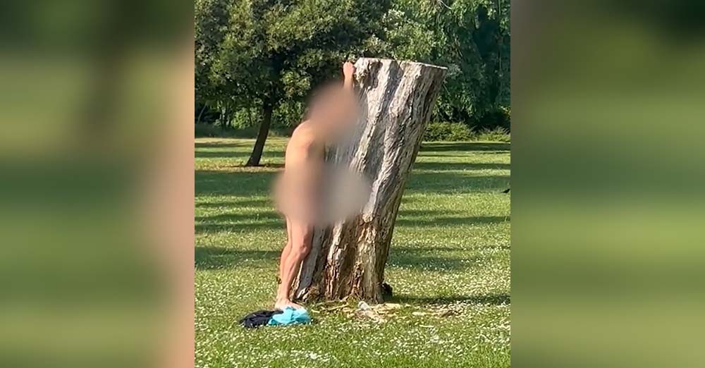 Un Britannique arrêté après un acte érotique insolite avec un arbre