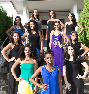 Miss Avirons 2015 jeudi 7 mai<br>Les 11 candidates