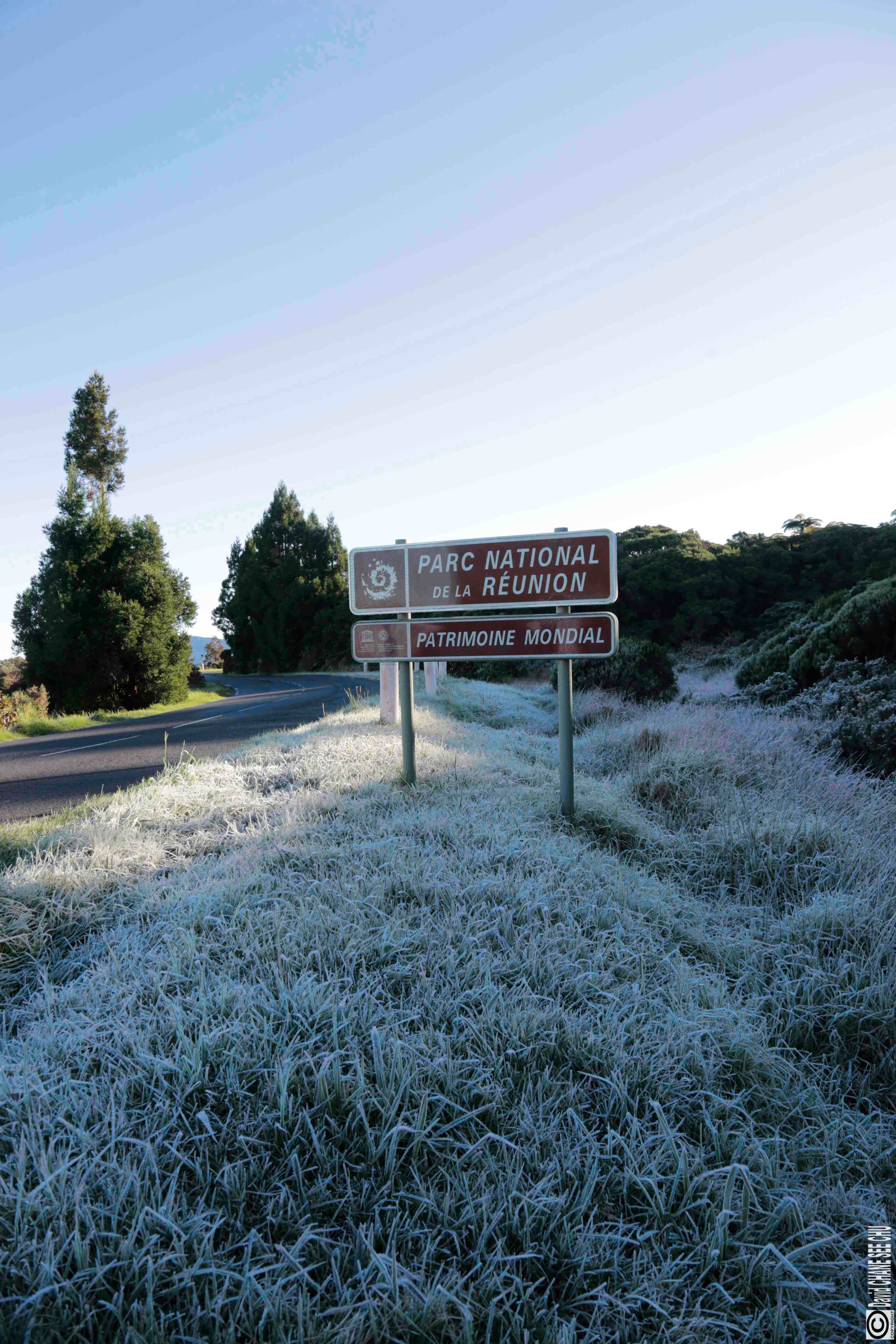 De la "neige" à la Plaine des Cafres?